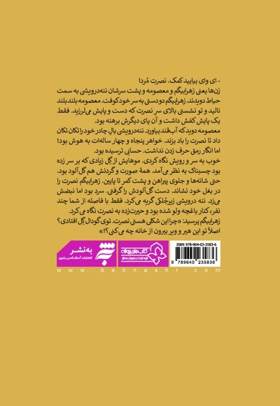 شبحی در پشت بام